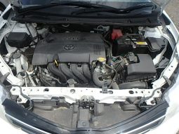 Toyota Fielder full
