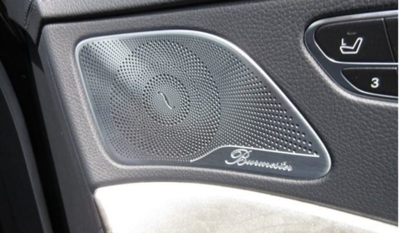 Mercedes S Class full