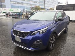 PEUGEOT 3008 full