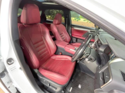 Lexus RX200 F Sport full